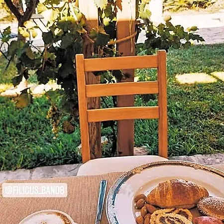 Filigus Bed & Breakfast 4*